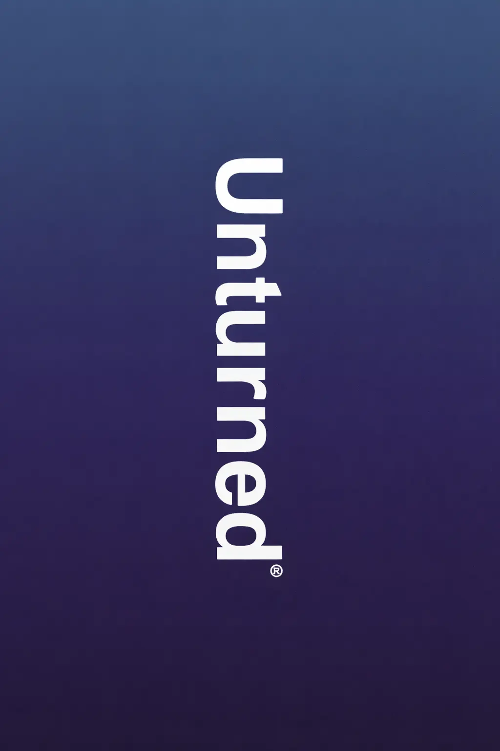 Micro Server Altora – Hosting Leggero e Veloce  - Unturned